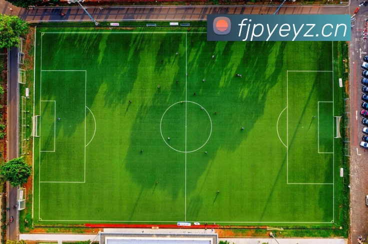 博鱼首页官网平台生态图